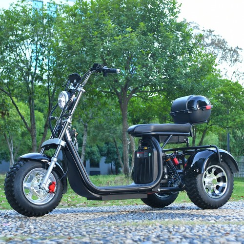Off road electric tricycle for - off-road,